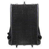 Cooler for coolant